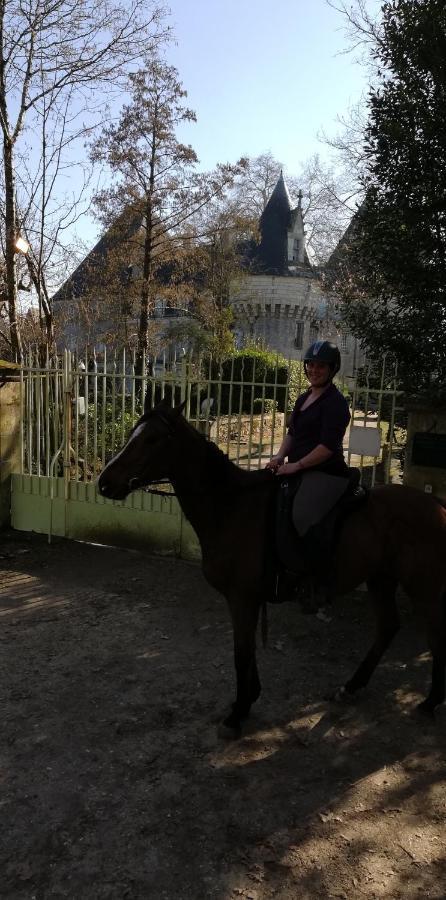 Chambre D'Hote En Vallee Du Loir - Elevage Des Rosiers Bazouges-sur-le-Loir Εξωτερικό φωτογραφία