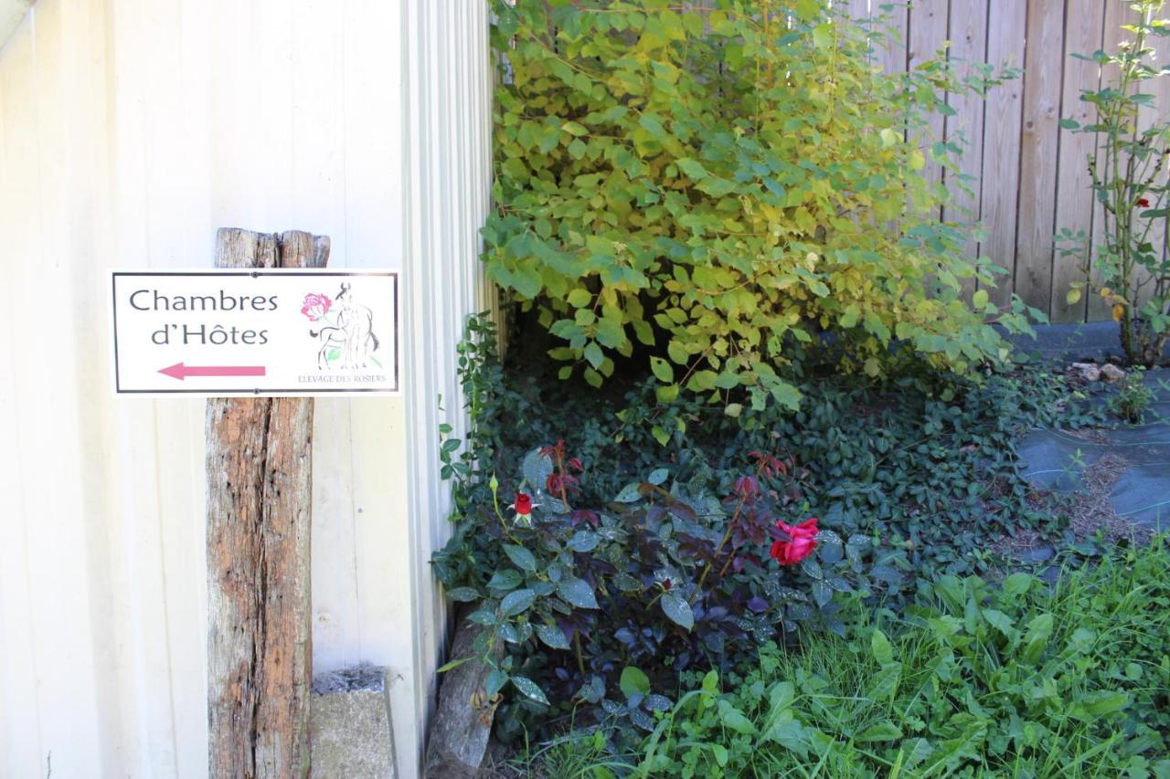 Chambre D'Hote En Vallee Du Loir - Elevage Des Rosiers Bazouges-sur-le-Loir Εξωτερικό φωτογραφία