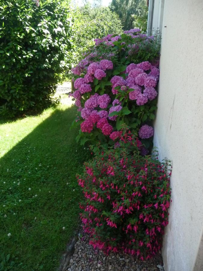 Chambre D'Hote En Vallee Du Loir - Elevage Des Rosiers Bazouges-sur-le-Loir Εξωτερικό φωτογραφία