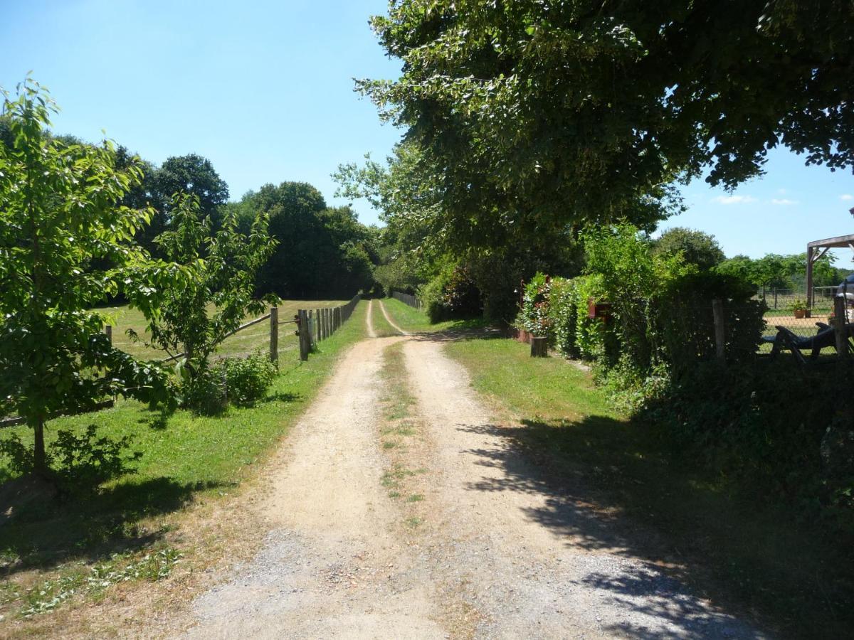 Chambre D'Hote En Vallee Du Loir - Elevage Des Rosiers Bazouges-sur-le-Loir Εξωτερικό φωτογραφία